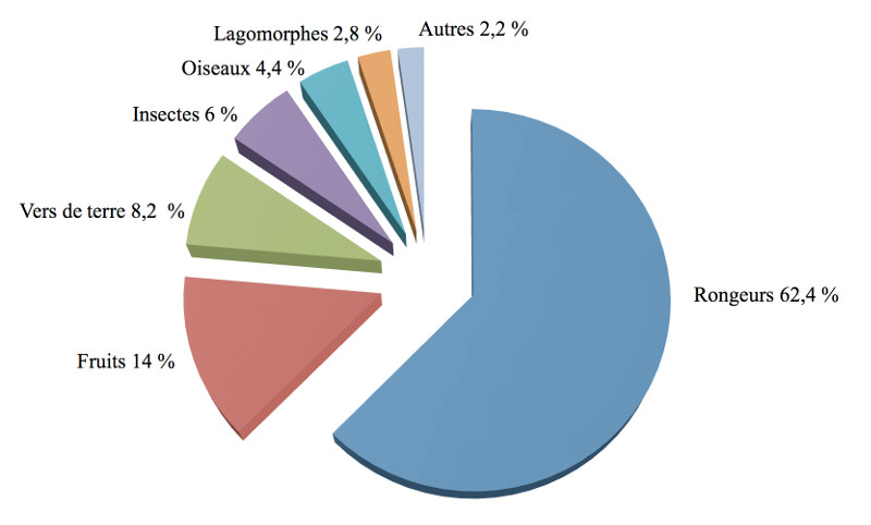 Régime alimentaire du renard roux en Franche-Comté sur la base de la fréquence d’apparition des restes contenus dans les fèces (d’après Giraudoux 1991)