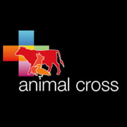 Animal Cross Animal Cross