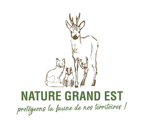 Nature Grand Est Nature Grand Est